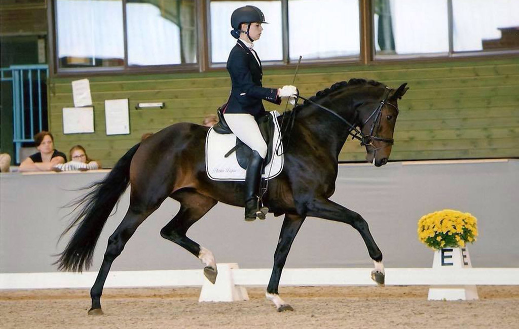 balance dressage training