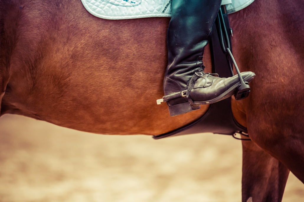 dressage mindset mental rider